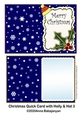 Christmas Quick Card with Holly & Hat 3
