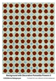 Background with Decorative Poinsettia Flowers 5