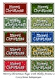 Merry Christmas Tags with Holly Frame 2