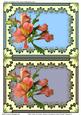 Tiger Lilies on Doily Various Occasions Card Fronts/ Toppers