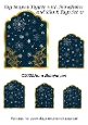 Tag Shaped Topper with Snowflakes and Blank Tags Set 17