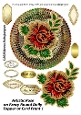 Artistic Rose on Fancy Round Doily Topper or Card Front 1