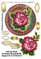 Artistic Rose on Fancy Round Doily Topper or Card Front 3