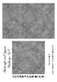 Rectangle and Square Backings Set 7