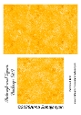 Rectangle and Square Backings Set 9