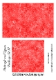 Rectangle and Square Backings Set 10