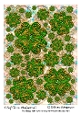 4 Leaf Clovers Background 5