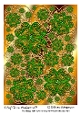 4 Leaf Clovers Background 9
