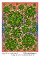 4 Leaf Clovers Background 10