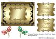 Graceful Various Occasions Card Front/topper & Dragonflies