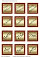 Christmas Square Embellishments / Captions Set 2