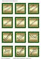 Christmas Square Embellishments / Captions Set 5