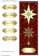 Christmas Composition Dl Card 3