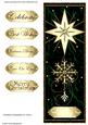 Christmas Composition Dl Card 4