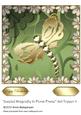 Jeweled Dragonfly in Floral Frame 8x8 Topper 5