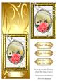 Rose in Double Frames Over the Edge Card 5