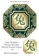 Year of Rabbit Chinese New Year Multiple Frames Topper 3