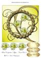 Floral Composition Topper / Card Front 8