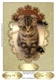 Simply Adorable Kitten Card Topper/ Front 2