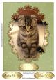 Simply Adorable Kitten Card Topper/ Front 3