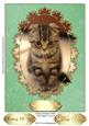 Simply Adorable Kitten Card Topper/ Front 4