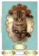 Simply Adorable Kitten Card Topper/ Front 5