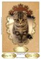 Simply Adorable Kitten Card Topper/ Front 6