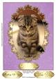 Simply Adorable Kitten Card Topper/ Front 7