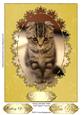 Simply Adorable Kitten Card Topper/ Front 8