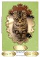 Simply Adorable Kitten Card Topper/ Front 9