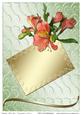 Birthday / Thank You / Congratulations Card 2