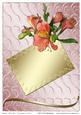 Birthday / Thank You / Congratulations Card 3