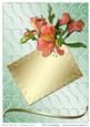 Birthday / Thank You / Congratulations Card 4