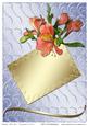 Birthday / Thank You / Congratulations Card 5