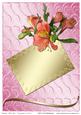 Birthday / Thank You / Congratulations Card 6