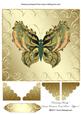 Dreaming Beauty Various Occasions Card Front/ Topper 2