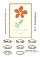 Simply Want to Say - Various Occasions Topper 2