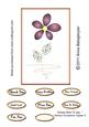 Simply Want to Say - Various Occasions Topper 3