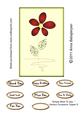 Simply Want to Say - Various Occasions Topper 5