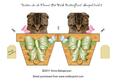 Kitten in a Flower Pot with Butterflies Shaped Card 2