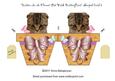 Kitten in a Flower Pot with Butterflies Shaped Card 3