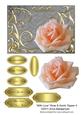 With Love Rose & Swirls Topper 4