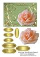 With Love Rose & Swirls Topper 6