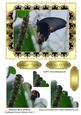 Beautiful Black Butterfly Scalloped Corner Stacker Card 1