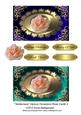 Tenderness Various Occasions Rose Cards 3