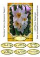 Narcissus Various Occasions Topper 3