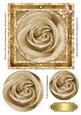 Rose in a Round & Square Frames Pyramid Card 3