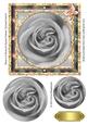 Rose in a Round & Square Frames Pyramid Card 6