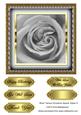 Rose Various Occasions Square Topper 5