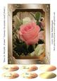 Rose in Metallic Frame Various Occasions Card Front 2